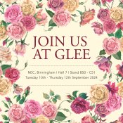 Glee 2024