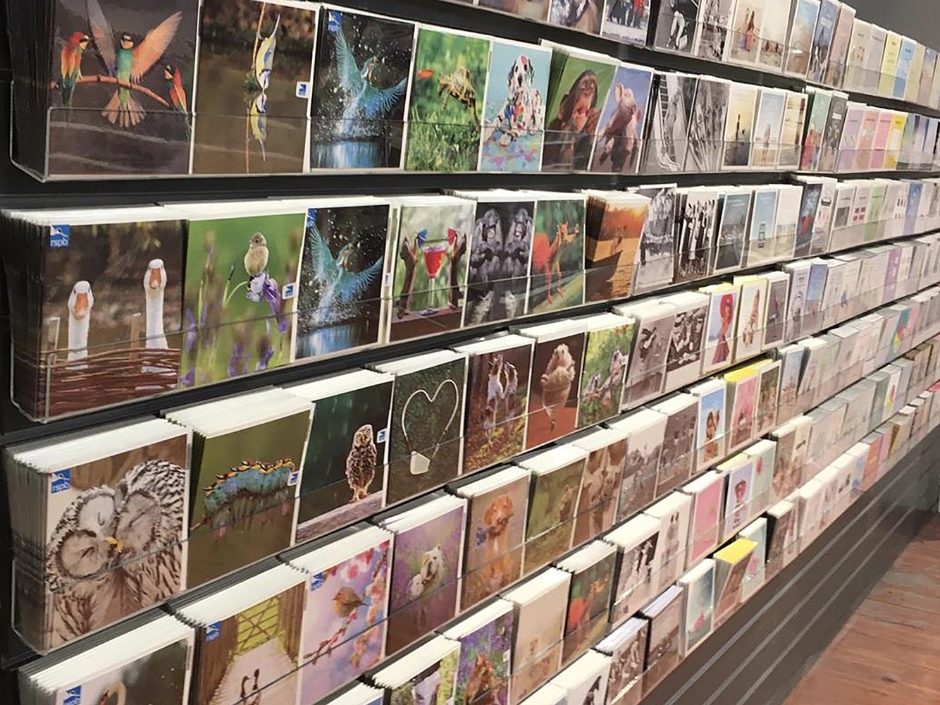 Bents Garden Centre Bents Garden Centre