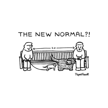 The New Normal?!